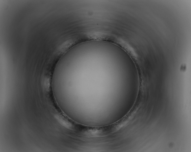 X0000101210065200807071348