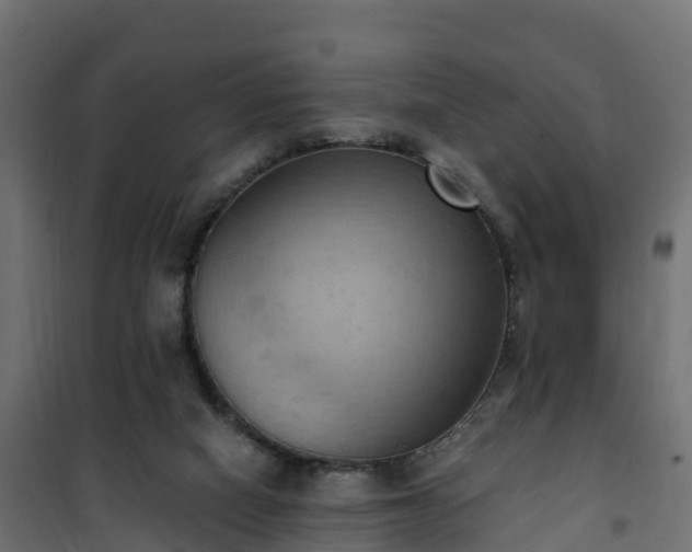 X0000101210066200807071348