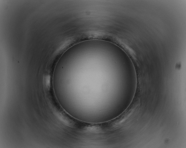 X0000101210067200807071348