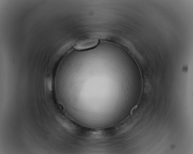 X0000101210068200807071348