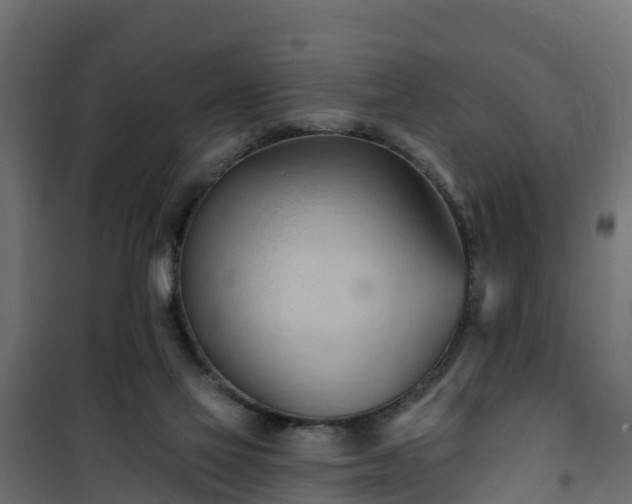 X0000101210069200807071348