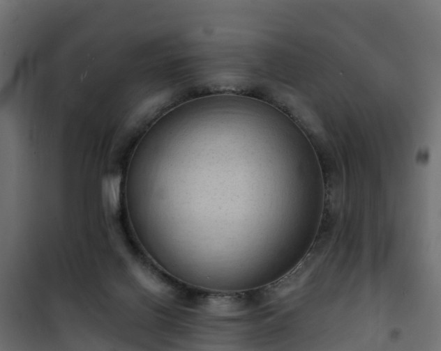 X0000101210070200807071348