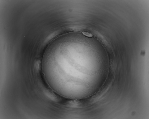 X0000101210071200807071348