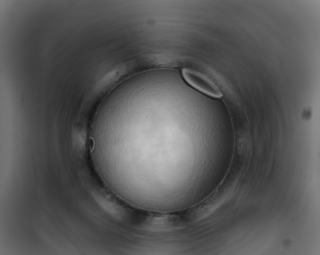 X0000101210072200807071348