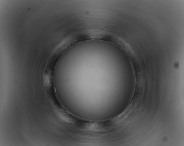 X0000101210074200807071349