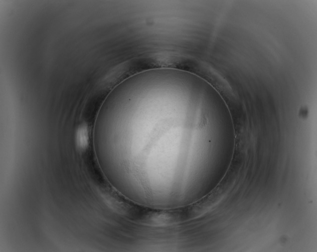 X0000101210075200807071349