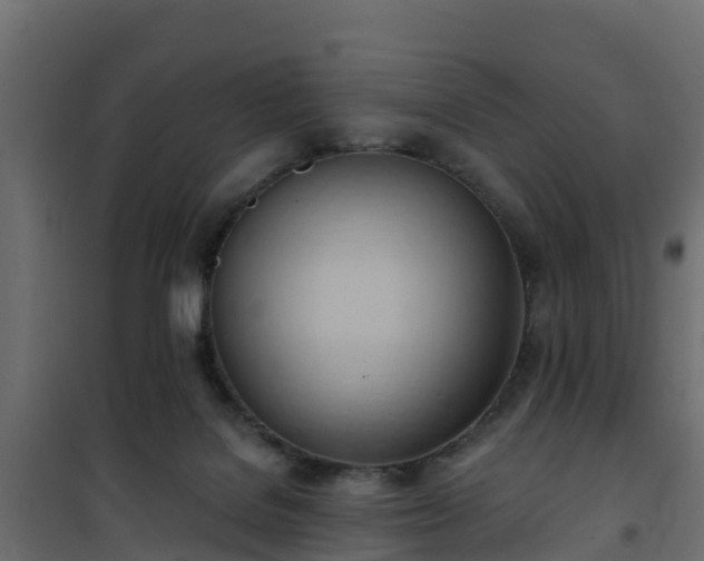 X0000101210076200807071349