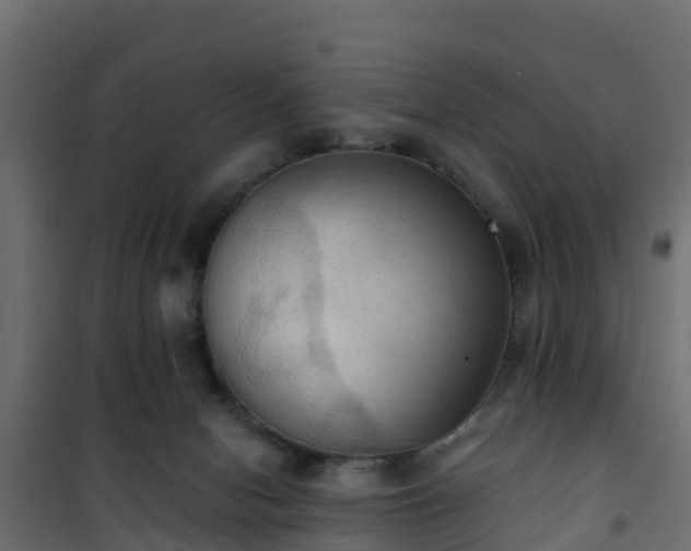 X0000101210078200807071349