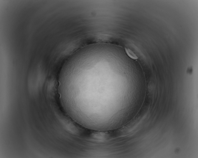 X0000101210079200807071349