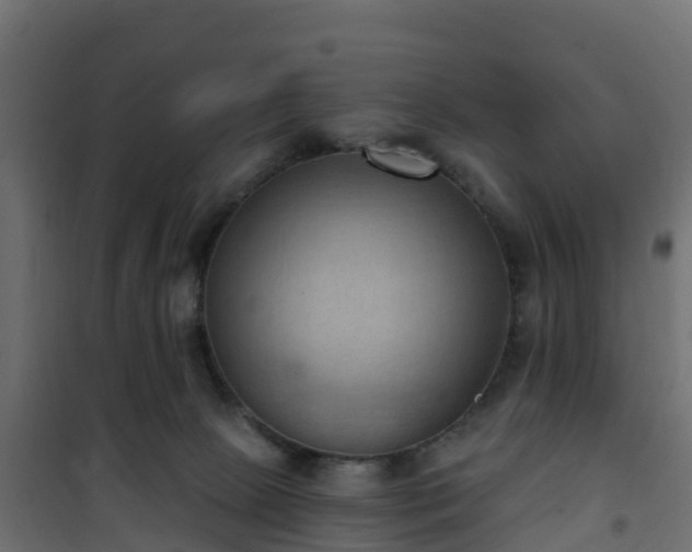 X0000101210081200807071349