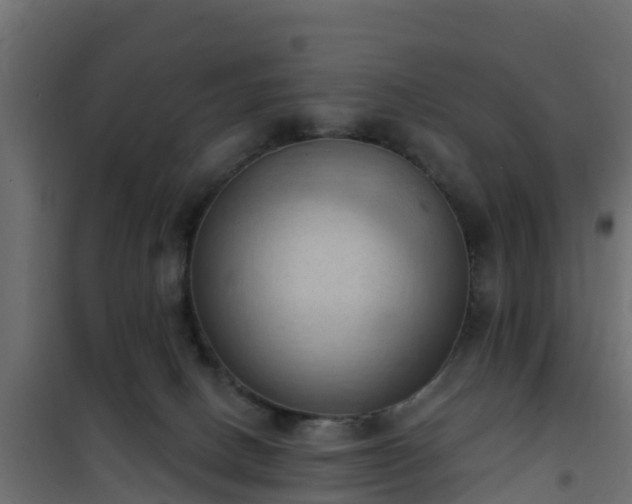 X0000101210082200807071349