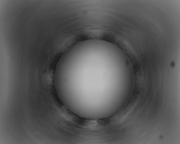 X0000101210083200807071349