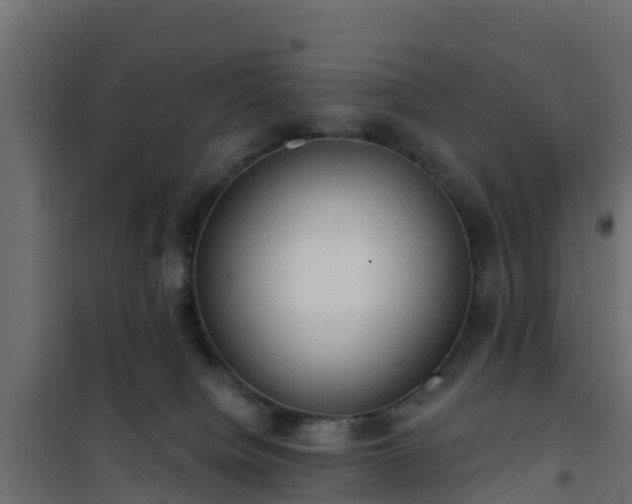 X0000101210084200807071349