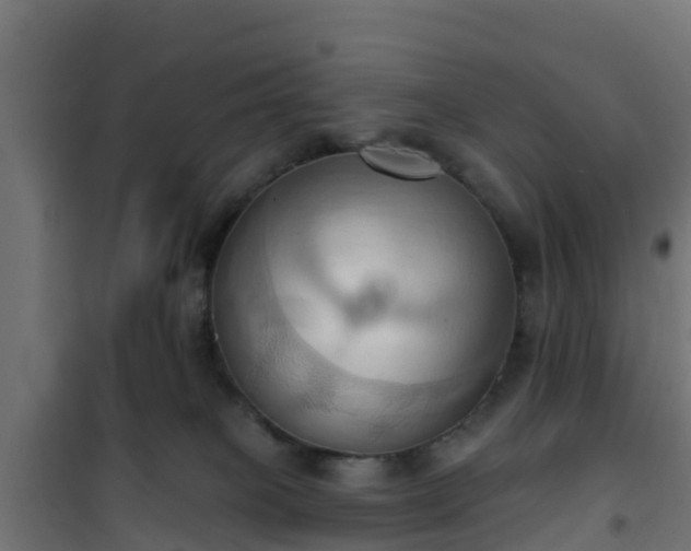 X0000101210085200807071349