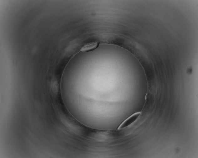 X0000101210086200807071349