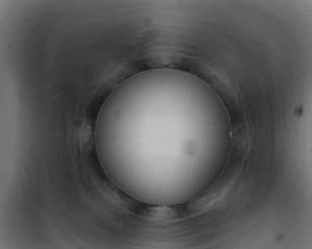 X0000101210087200807071349