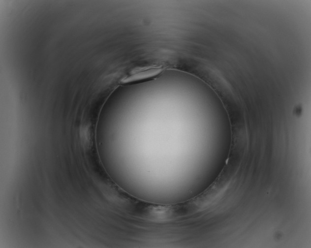 X0000101210088200807071349