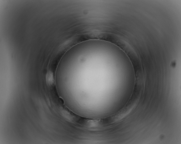 X0000101210089200807071349