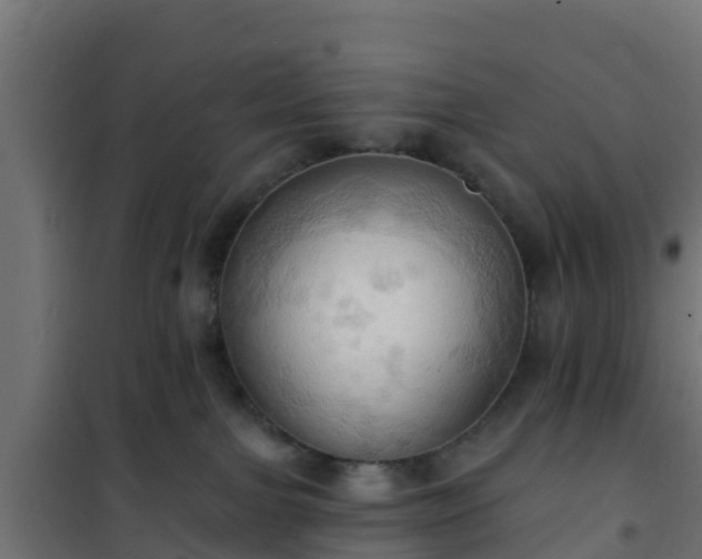 X0000101210091200807071349