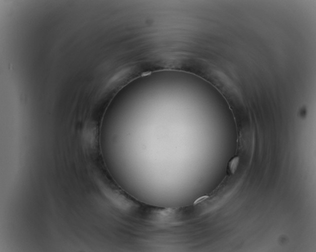 X0000101210092200807071349