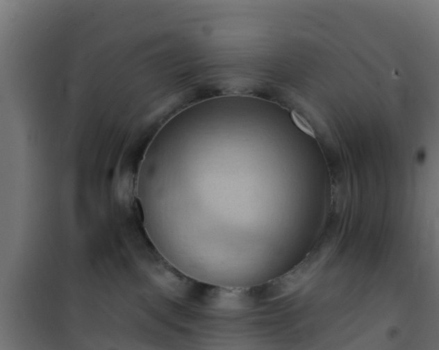 X0000101210093200807071349