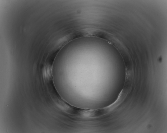 X0000101210094200807071349