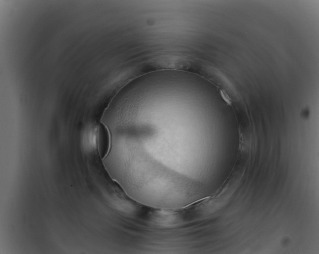 X0000101210095200807071349