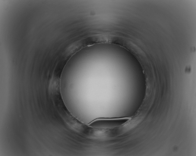 X0000101210096200807071349