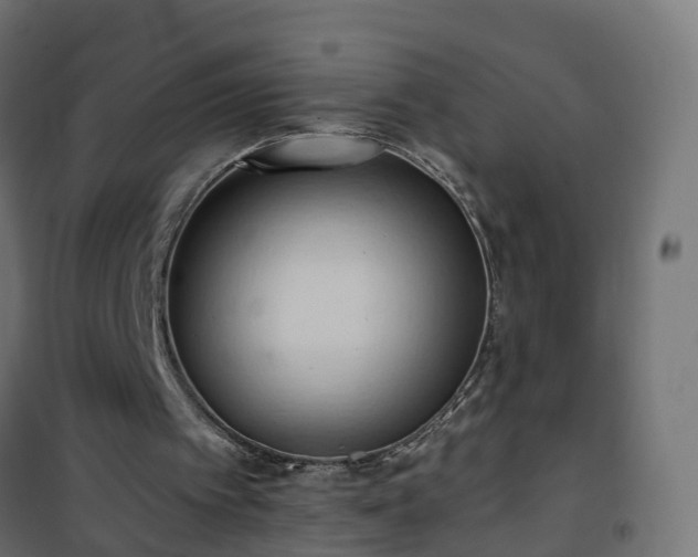 X0000101210097200807071348