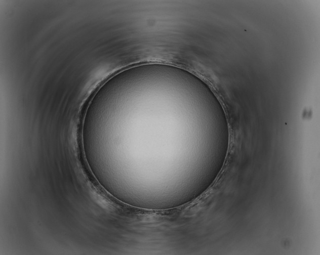 X0000101210098200807071348