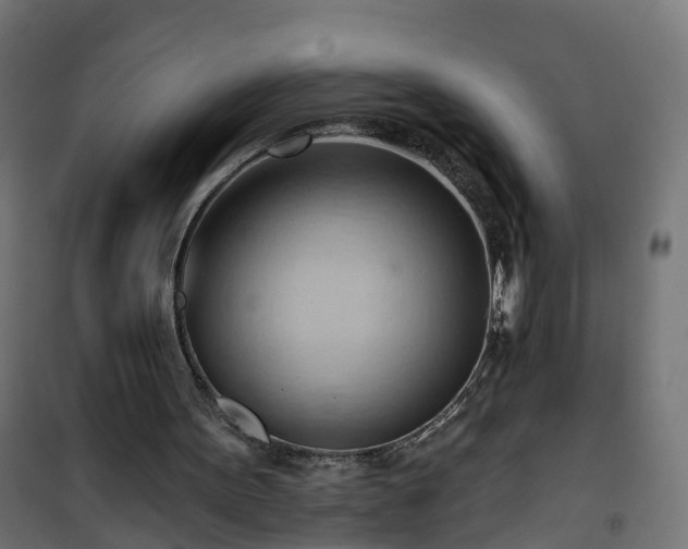 X0000101210099200807071348