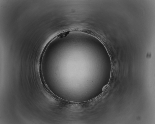 X0000101210100200807071348