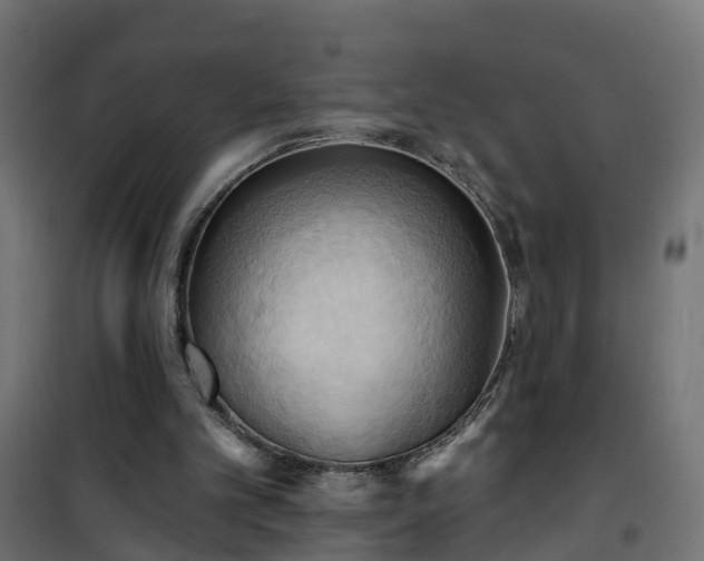 X0000101210101200807071348