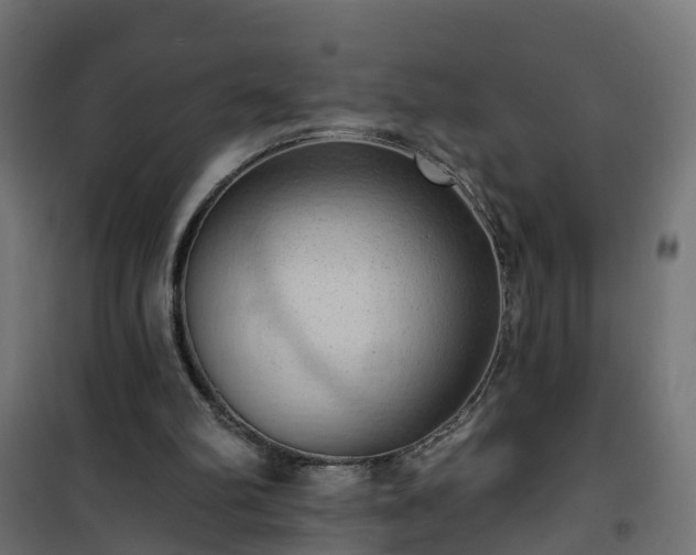 X0000101210102200807071348