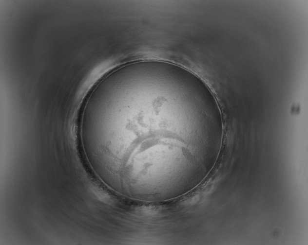 X0000101210103200807071348