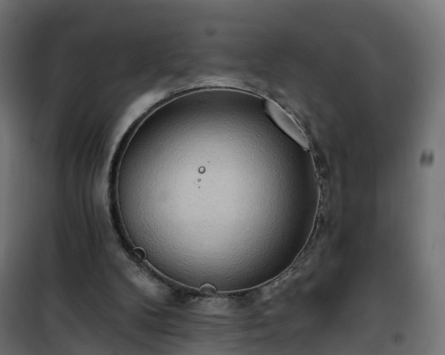 X0000101210104200807071348