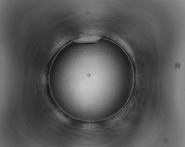 X0000101210105200807071348