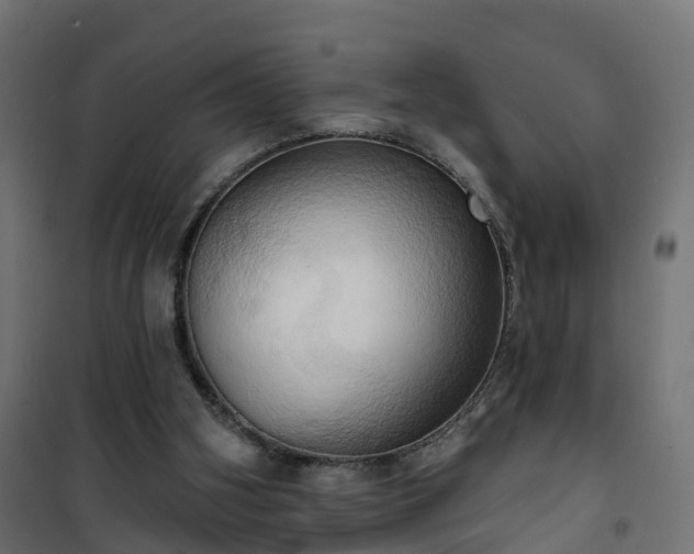 X0000101210106200807071348