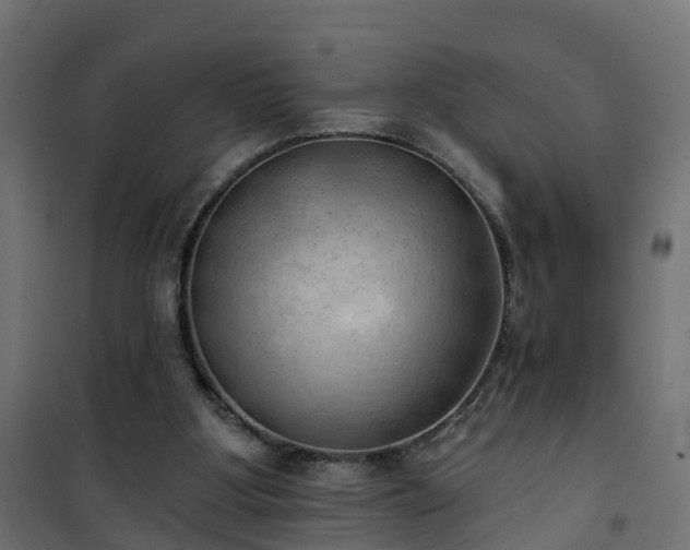 X0000101210107200807071348