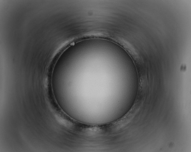 X0000101210112200807071348