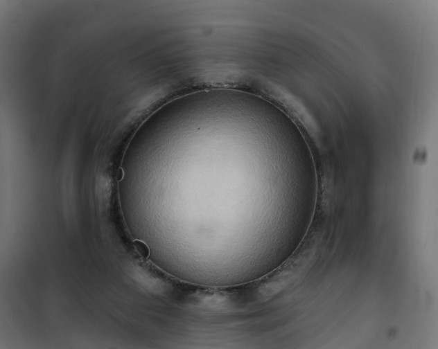 X0000101210113200807071348