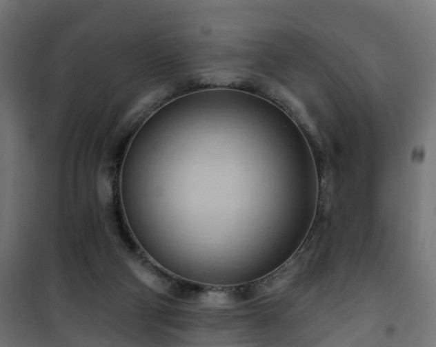 X0000101210114200807071348