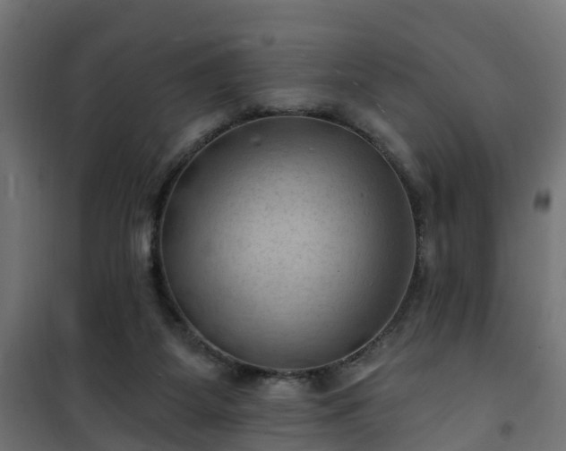 X0000101210115200807071348