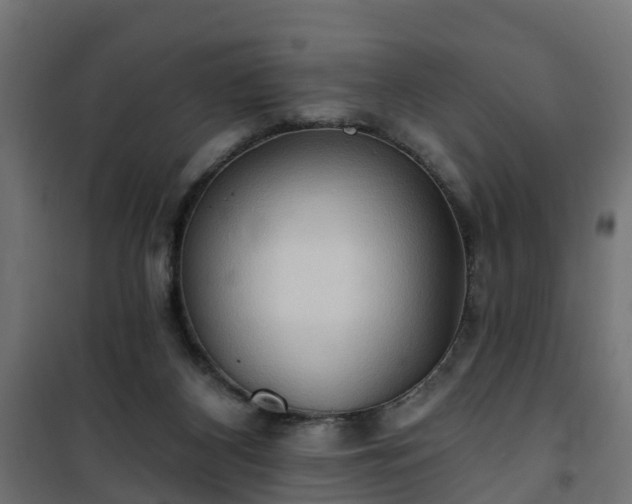 X0000101210116200807071348