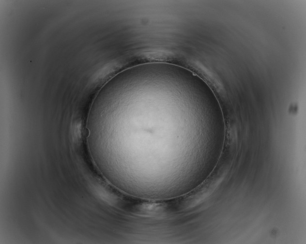 X0000101210117200807071348