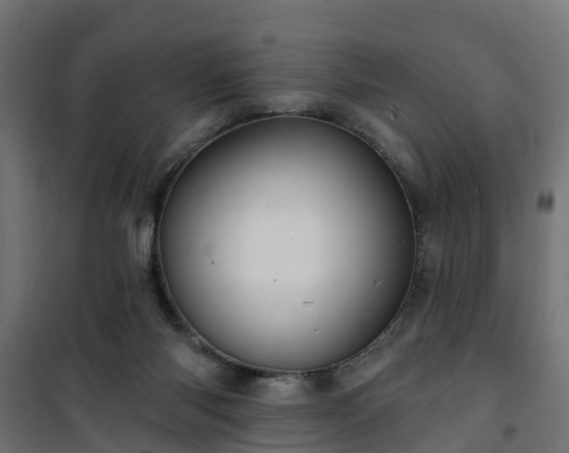 X0000101210118200807071348