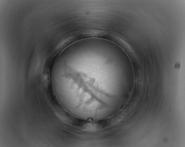 X0000101210119200807071348