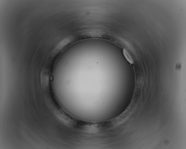 X0000101210120200807071348