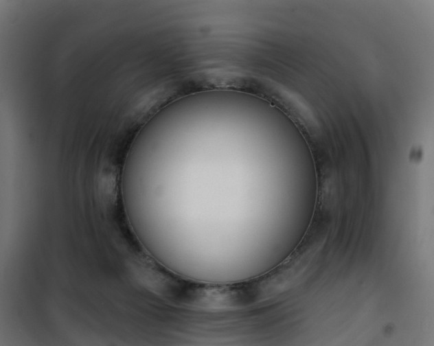 X0000101210121200807071348