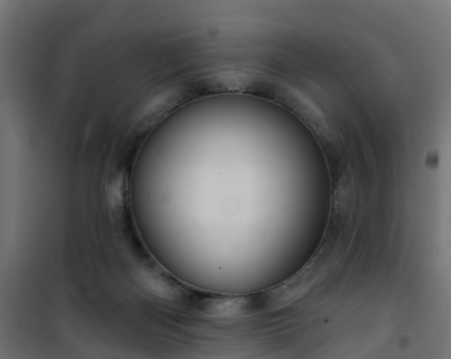 X0000101210122200807071348